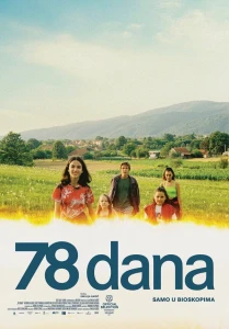 78 дней